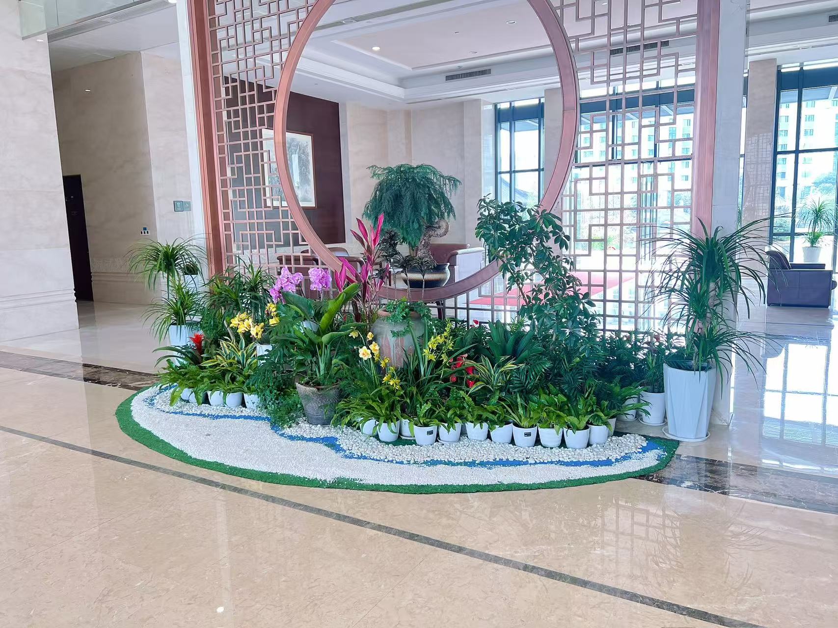 海曙盆景租赁方案，为您定制专属绿植美境